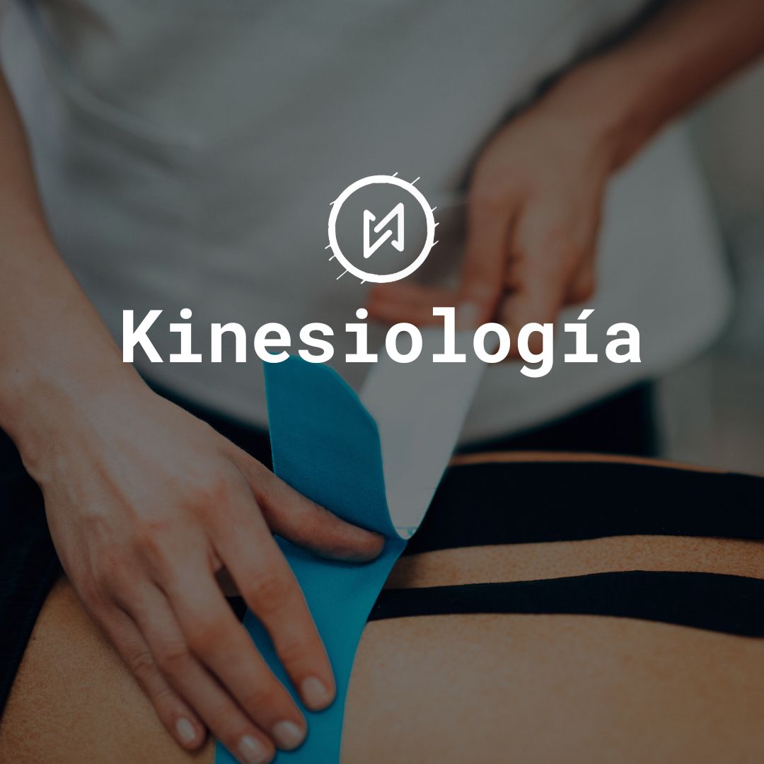 INICIO – Kinesiología