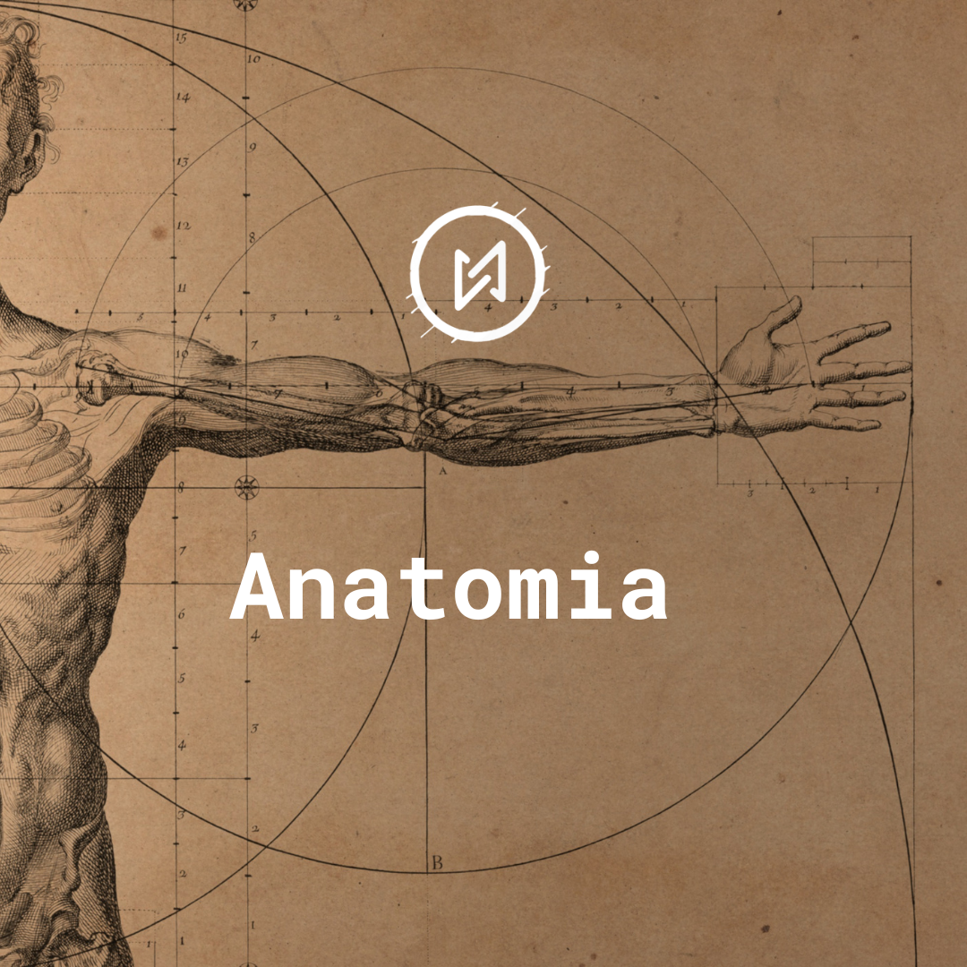 ANATOMIA