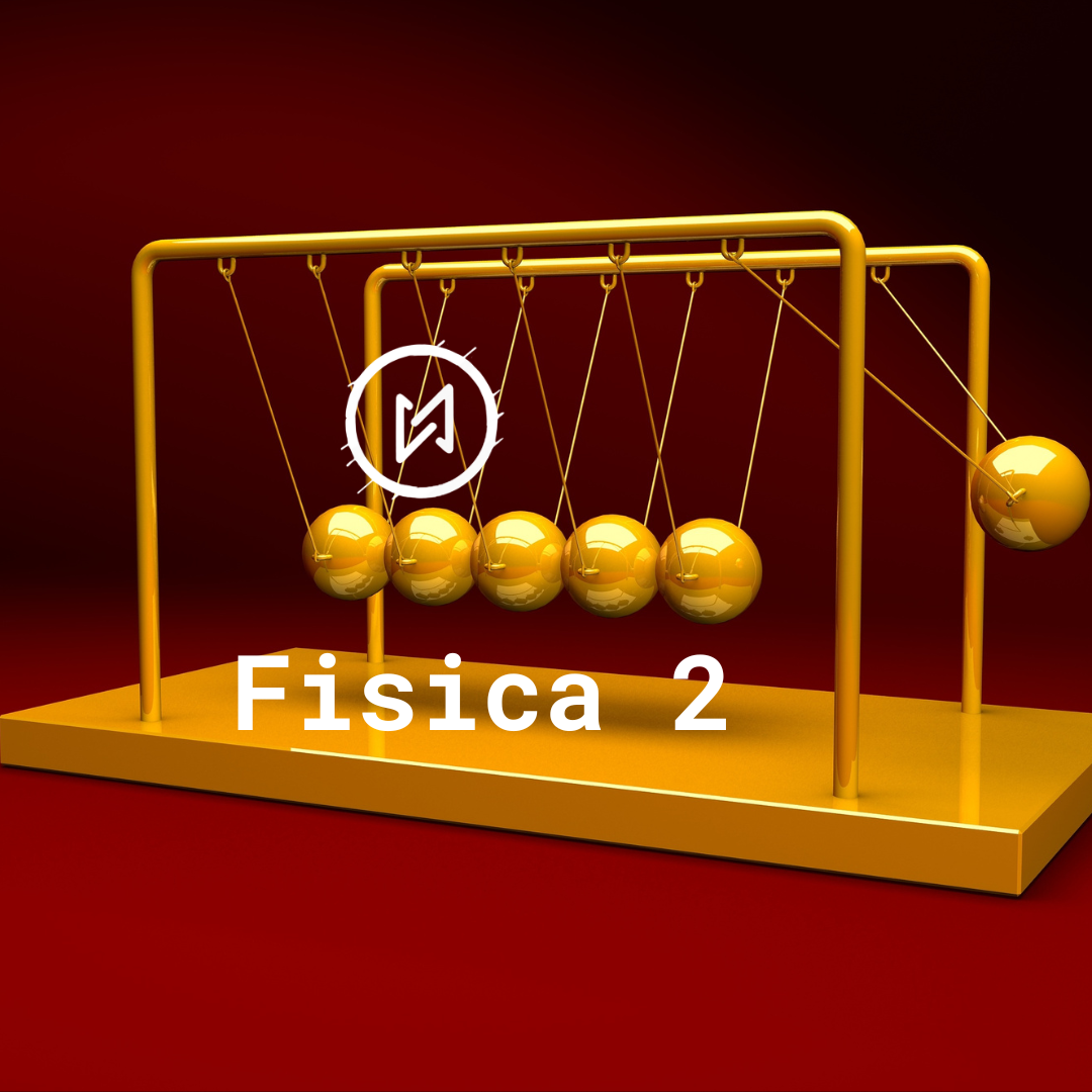 FISICA 2